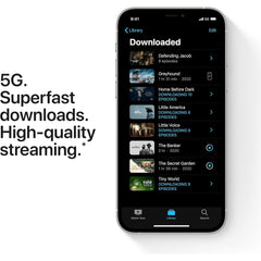 Apple iPhone 12 Pro Max (256GB) used