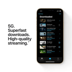 Apple iPhone 12 Pro Max (256GB) used