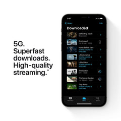 Apple iPhone 12 Pro Max (256GB) used