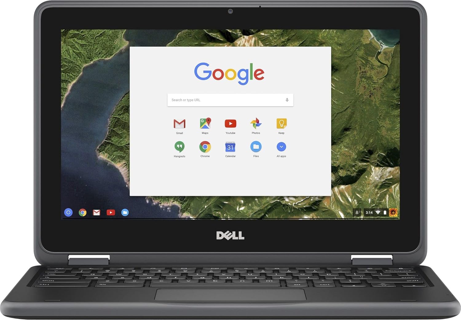 Dell Chromebook 3180 (used)
