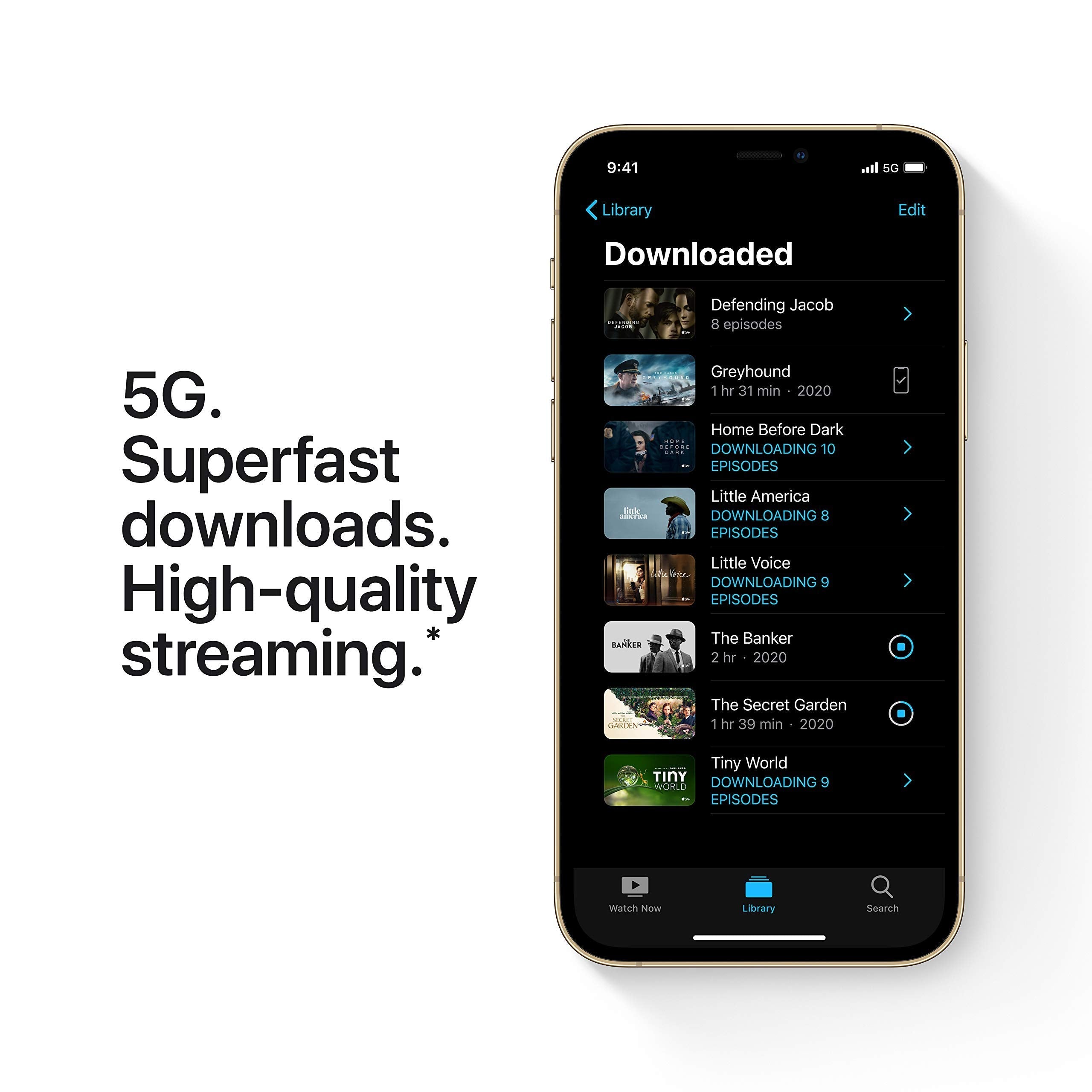 Apple iPhone 12 Pro Max (256GB) used